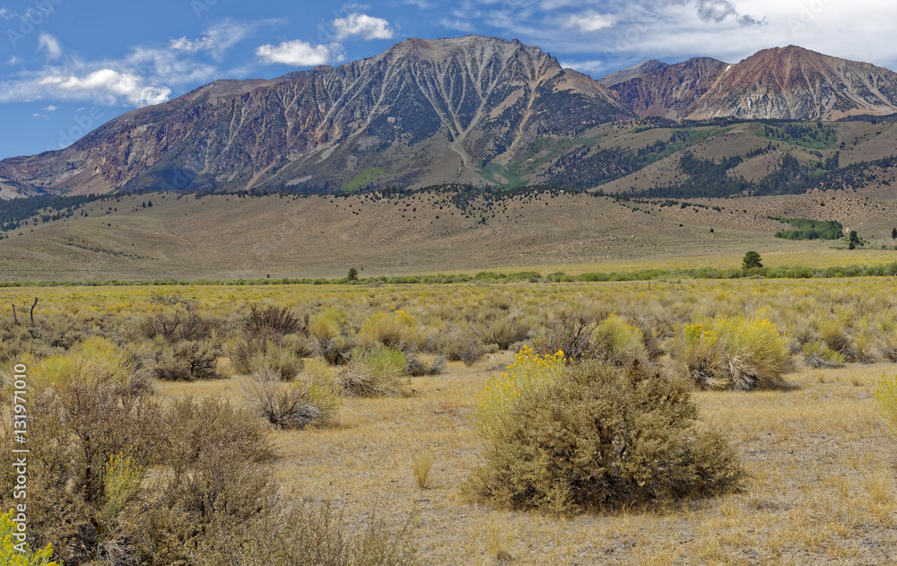 View from Bodie, California of the high desert and the Eastern Sierra Nevada mountains View from Bodie, California of the high desert and the Eastern Sierra Nevada mountains