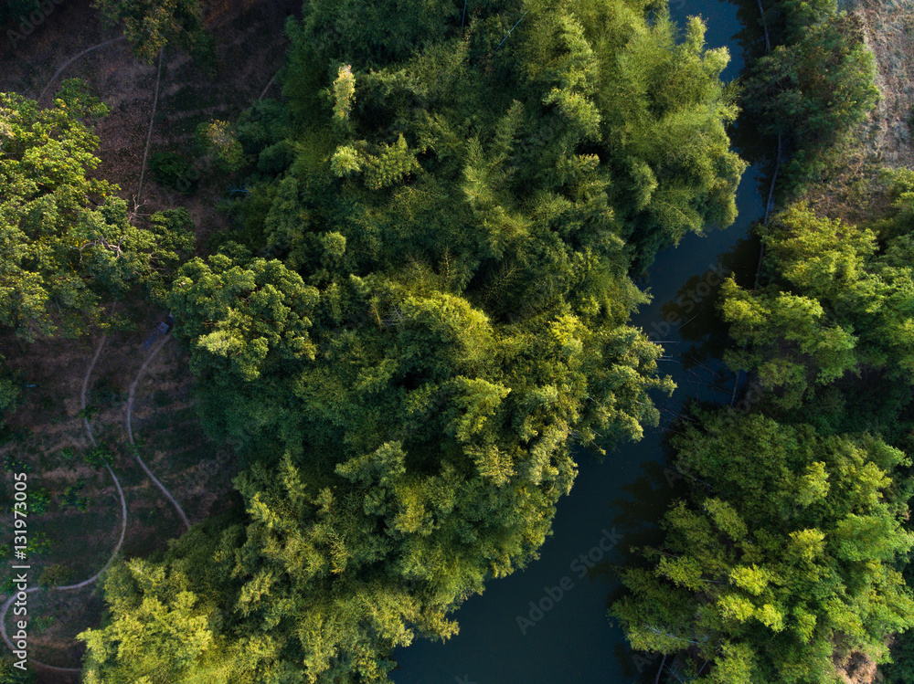 Forest and river from above Forest and river from above