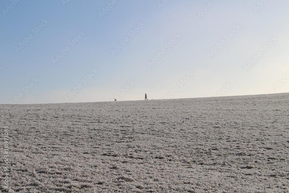 Spaziergänger mit Hund im Winter am Horizont