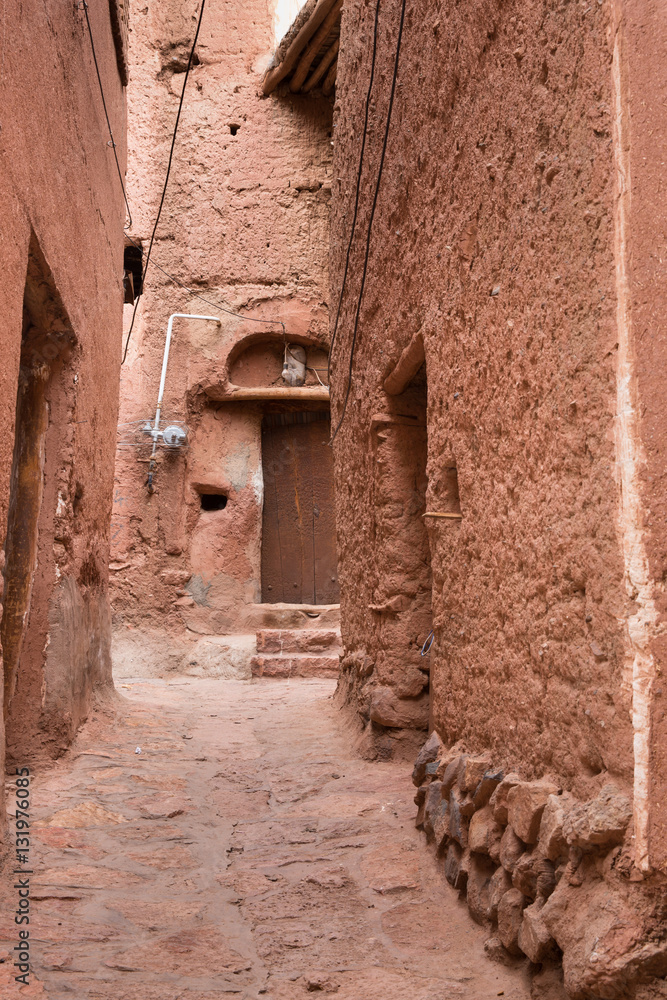 The tipical red mud-brick houses in the ancient village of Abyan, in Iran