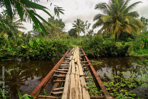 Risky bridge in the jungle