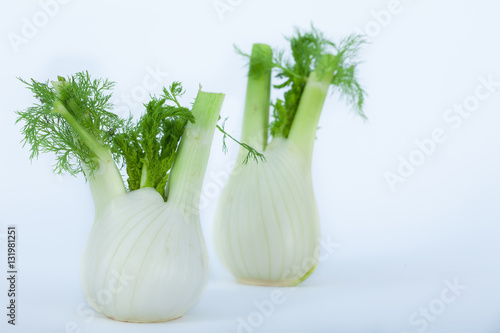 Two Fresh fennel bulbs on white background 