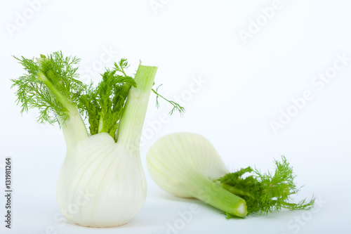 Fresh fennel bulbs isolated on white background