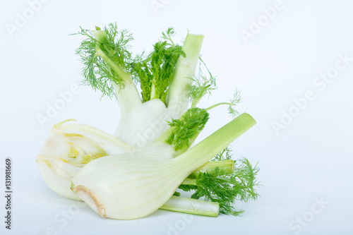 Fresh organic fennel on white background