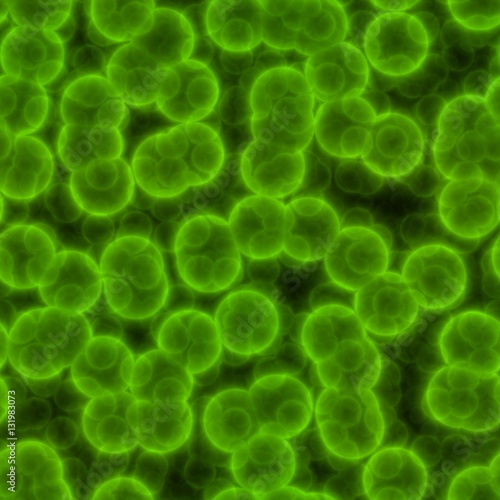 Green bacteria on dark background