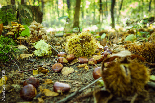 Chestnuts