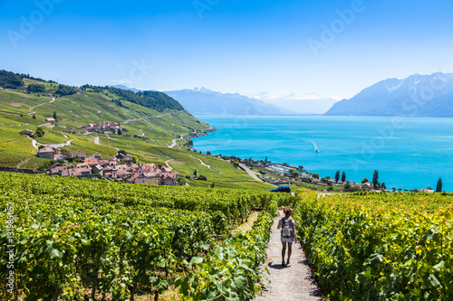 Foto Vineyards in Lavaux region - Terrasses de Lavaux terraces, Switz