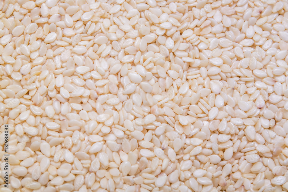 White sesames seed background and textured White sesames seed background and textured