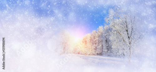 Winter background with snowy trees and snowflakes © byrdyak