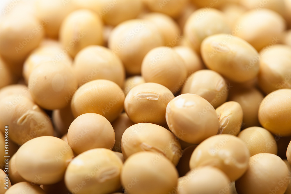 Soybeans background. Soya seed texture Soybeans background. Soya seed texture