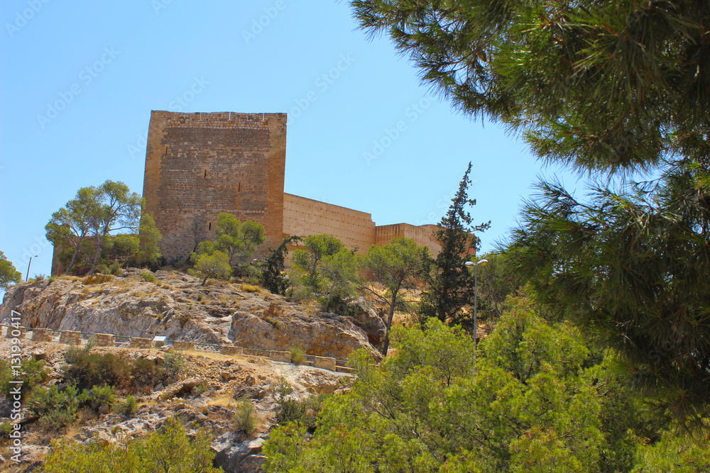 Castillo de Novelda, Alicante