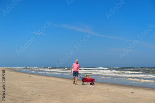 Senior man walking with dog at beach