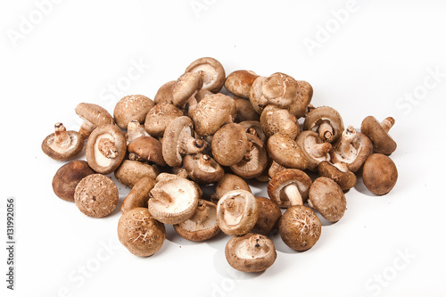 Group of Shiitake mushrooms 