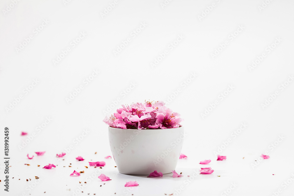 Pink plum blossom flower in a white bowl Pink plum blossom flower in a white bowl