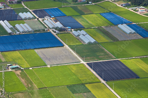 Skyline of paddy rice field in Pyeongchang