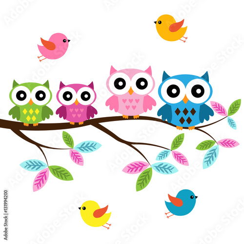 Four colorful owls sitting on the branch and flying birds on a white background