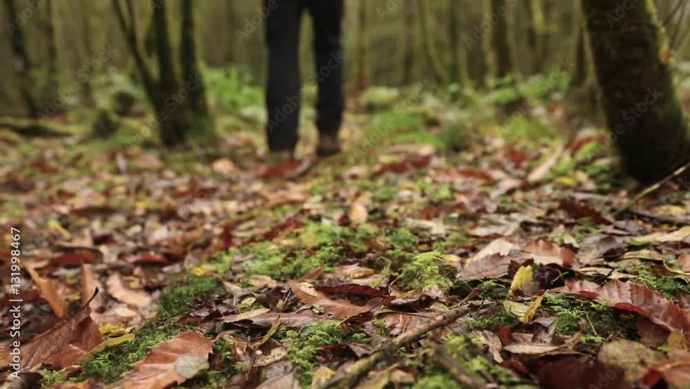 Man walking in the wood, rear and low view. Focus on leaves in foreground. The man is wearing hiking warm clothes. Exploration and nature concepts Man walking in the wood, rear and low view. Focus on leaves in foreground. The man is wearing hiking warm clothes. Exploration and nature concepts