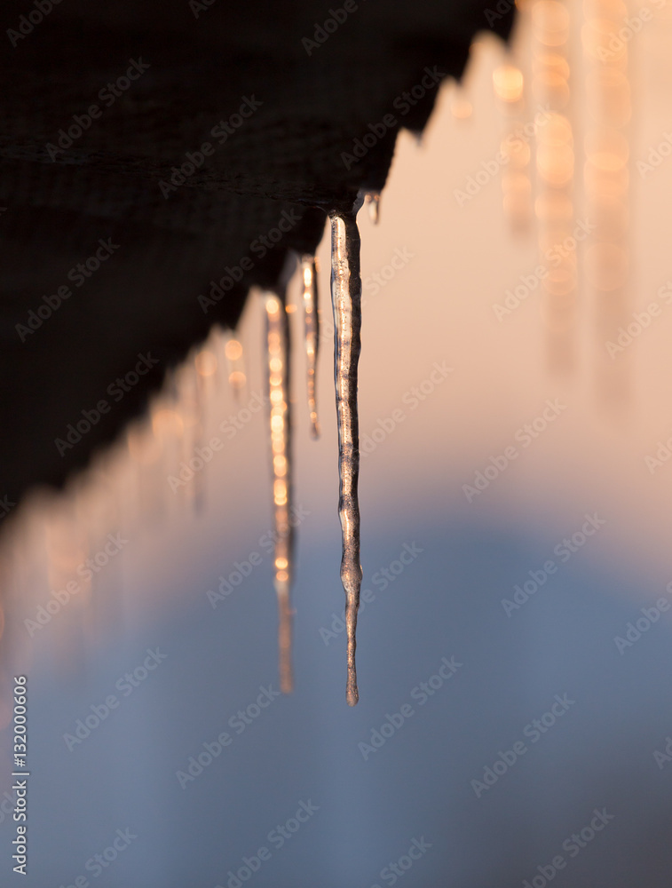 winter icicles on the sun dawn winter icicles on the sun dawn