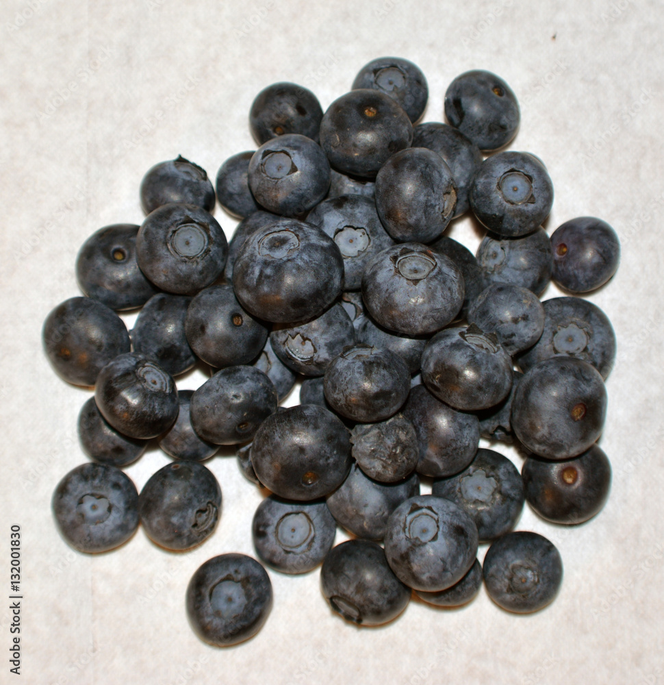 Pie of Blueberries/Pile of Fresh Blueberries on white background Pie of Blueberries/Pile of Fresh Blueberries on white background