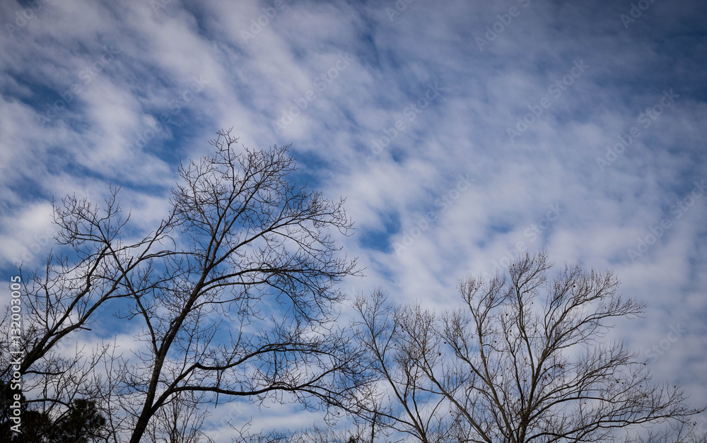 Obraz premium Dreamy sky