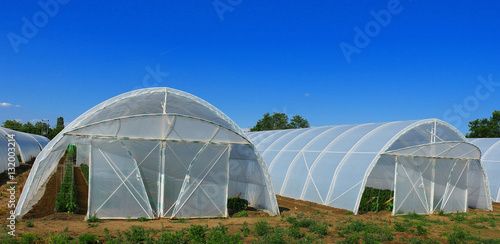 Greenhouse made of polycarbonate