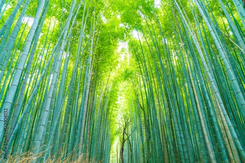 Obraz Ścieżka do bambusowego lasu w Arashiyama w Kioto.