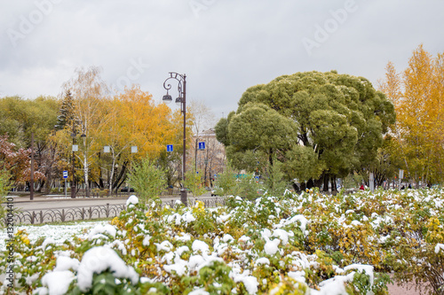 autumn and the first snow on the street