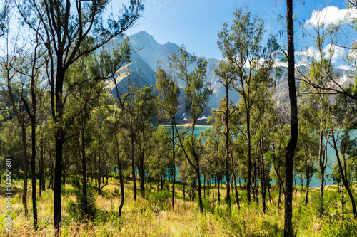 View through the crater forest onto the lake with the summit in the background, Volcano "Gunung Rinjani", Lombok, Indonesia.