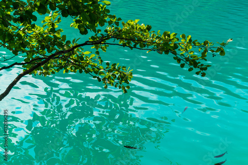 Blue-green crystal clear lakes in Plitvice  Croatia  on a bright sunny day in summer