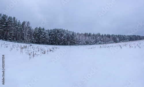 winter panorama © dmitriydanilov62