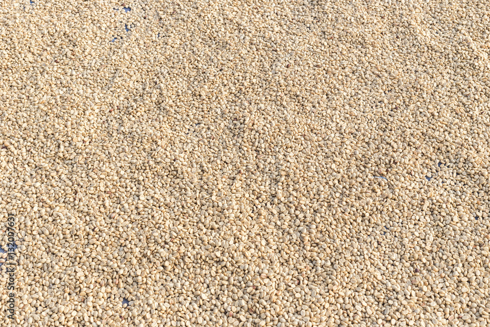Pattern of coffee beans, Can use for background Pattern of coffee beans, Can use for background