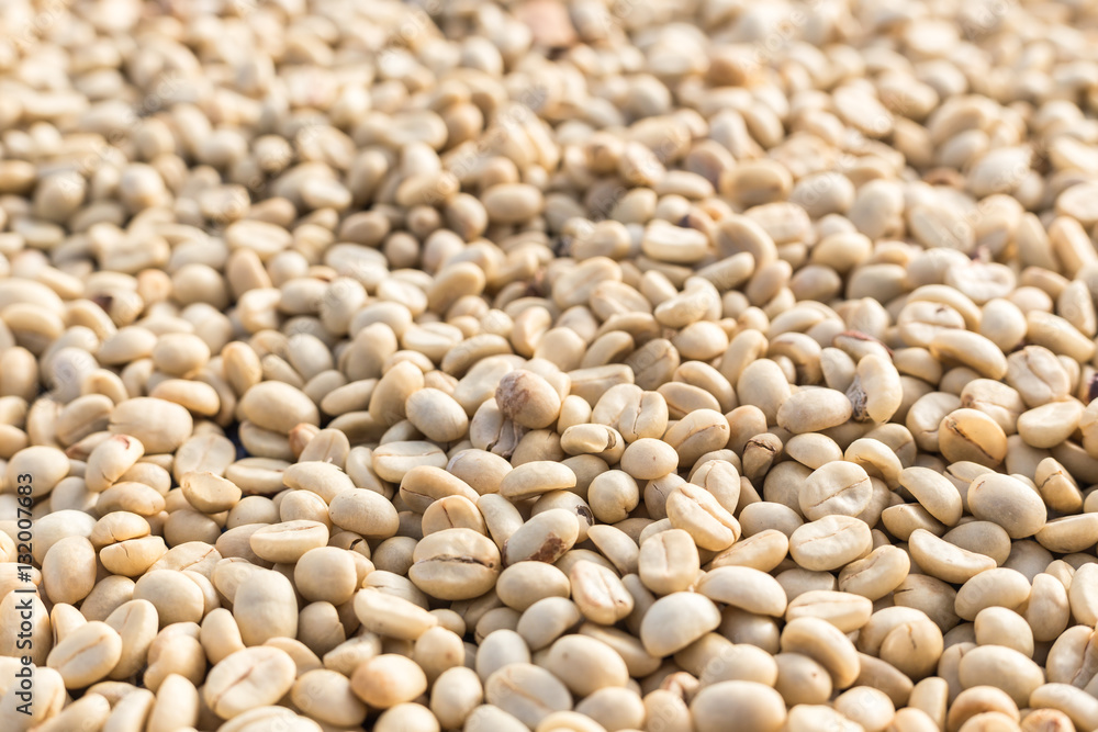 Pattern of coffee beans, Can use for background Pattern of coffee beans, Can use for background