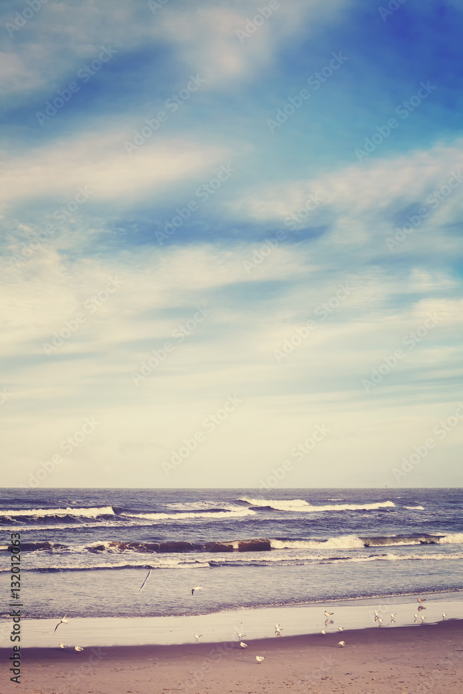 Color toned peaceful sea landscape with seagulls Color toned peaceful sea landscape with seagulls
