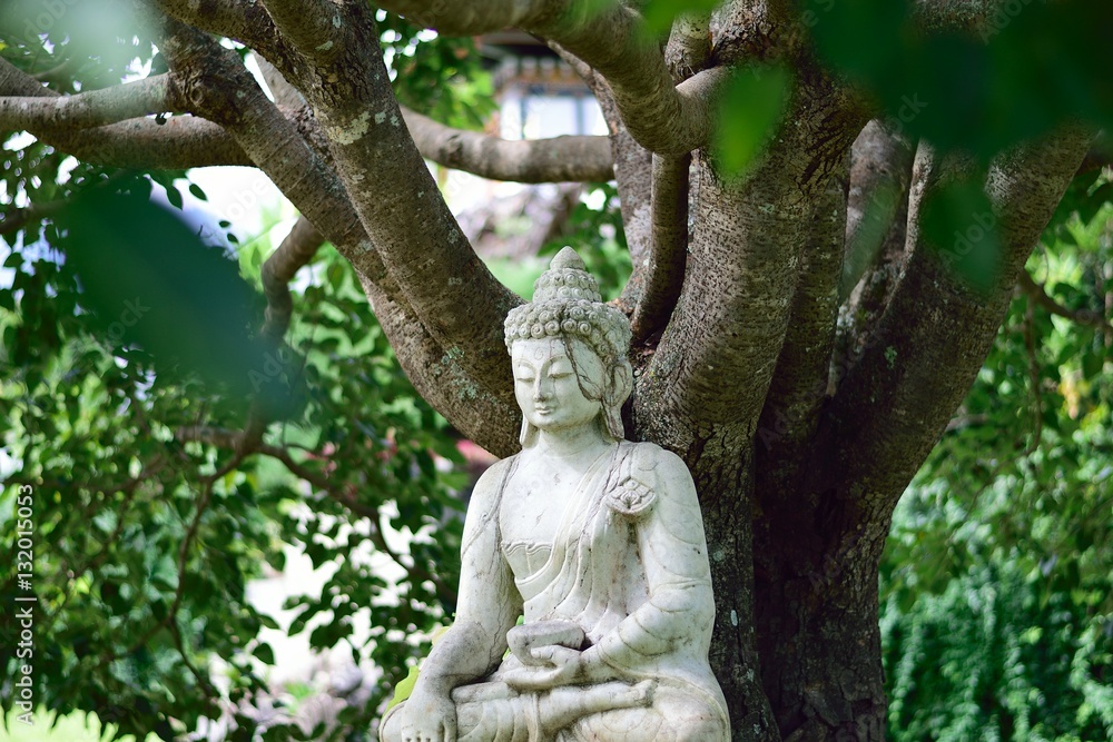 Statue of Buddha at the Khamsum Yulley Namgyal Chorten, Punakha, Bhutan Statue of Buddha at the Khamsum Yulley Namgyal Chorten, Punakha, Bhutan