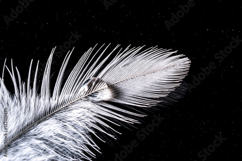 Drop of water on a white feather macro texture on black night sky background with stars