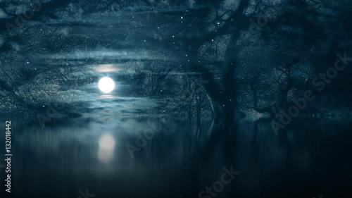 fantasy spooky moonlight magical woodland scene - composite effects photo