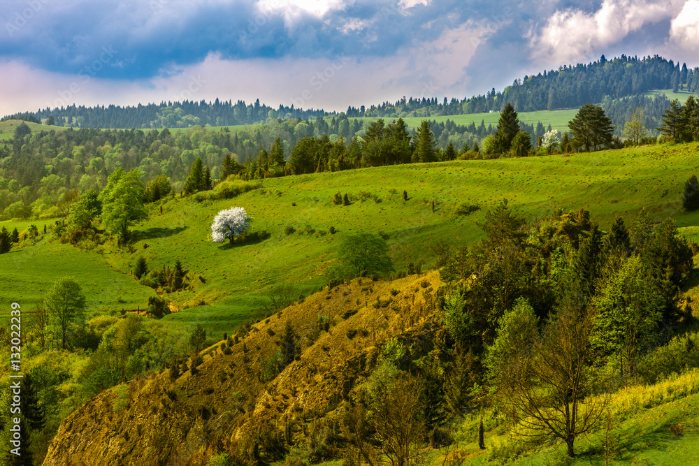 Obraz premium Pieniny-rezerwat Biała Woda
