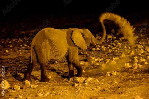 Elephant having a dust bath at night