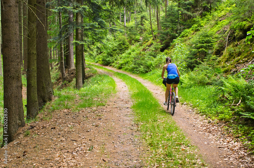 Fototapeta premium Woman bicycling in the woods