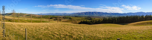 Panorama Scenic View Of Hilly Green Pasture. Canterbury, New Zea photo