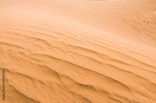 Sand ribs in the Dunes of Mhamid (Sahara), Morocco
