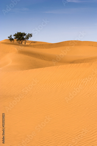 Dunes of Mhamid (Sahara), Morocco
