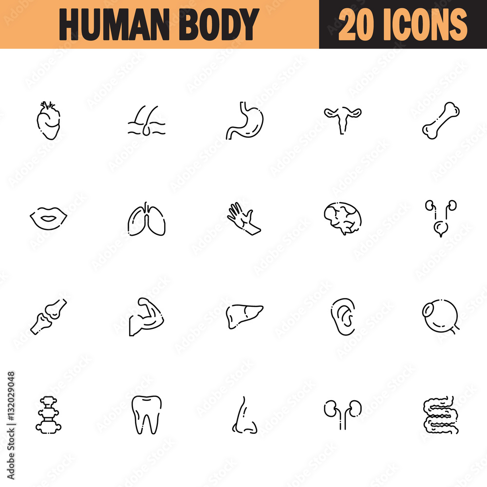 Human body icon set