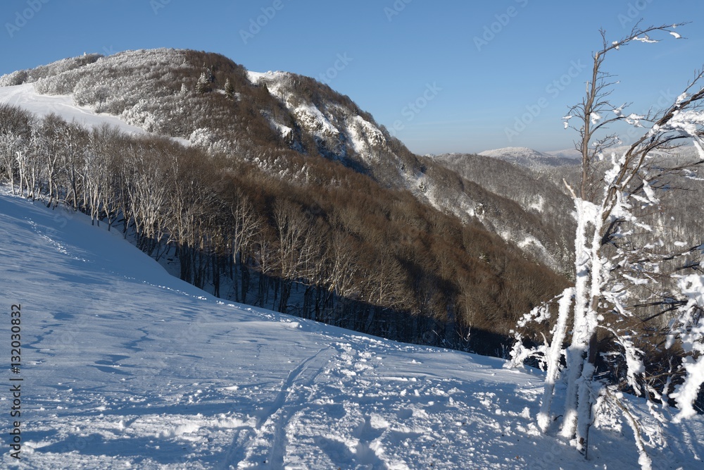 Station de ski du Ballon d'Alsace neige Stock Photo | Adobe Stock
