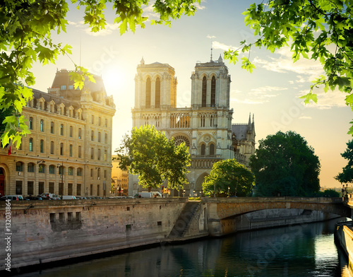 Fototapeta Notre Dame cathedral