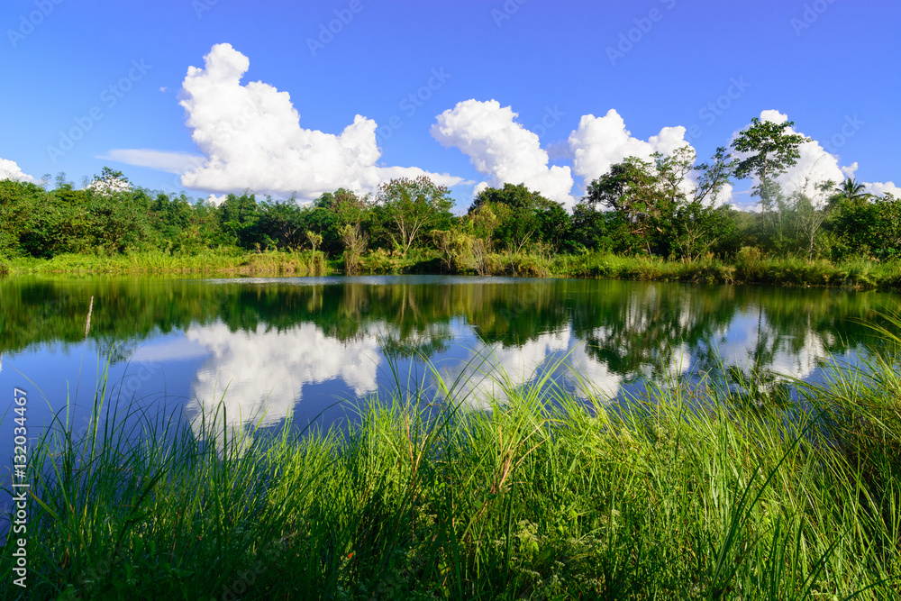 Fototapeta premium Clear blue lake in a forest.