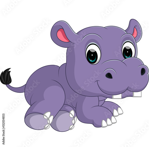 Cute hippo     