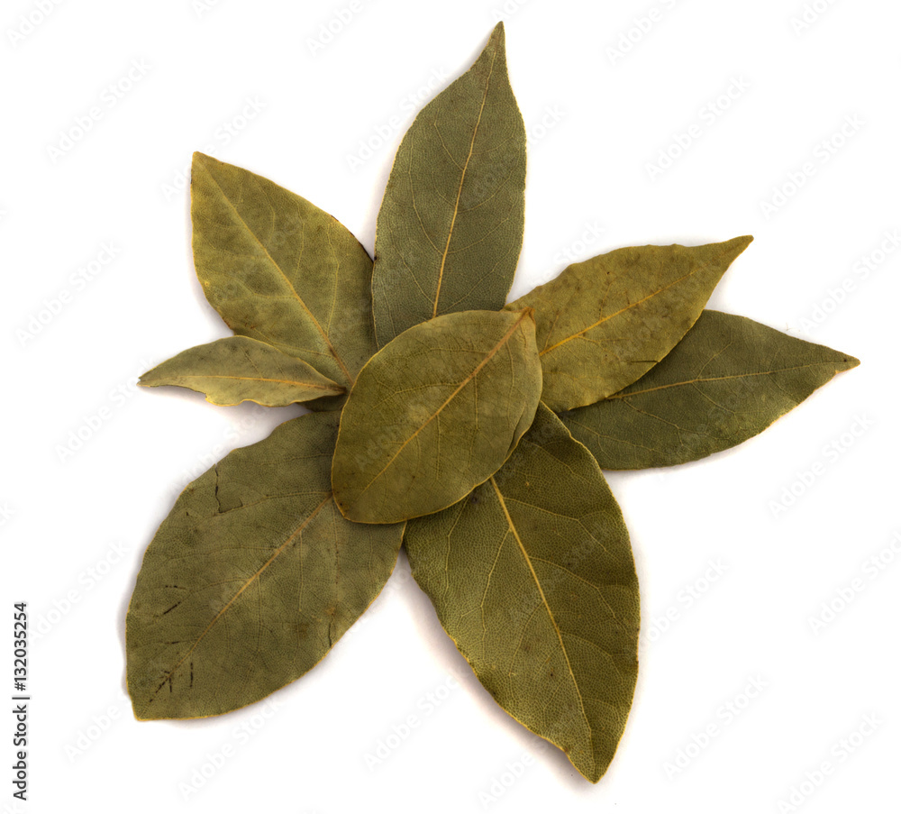 Bay laurel leaves on white Bay laurel leaves on white