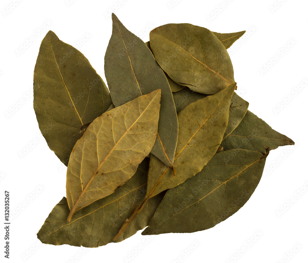Bay laurel leaves on white Bay laurel leaves on white