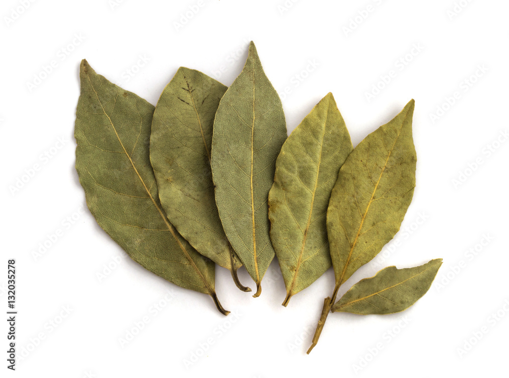 Bay laurel leaves on white Bay laurel leaves on white